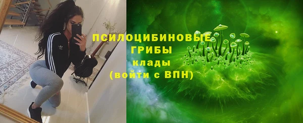 трава Бугульма