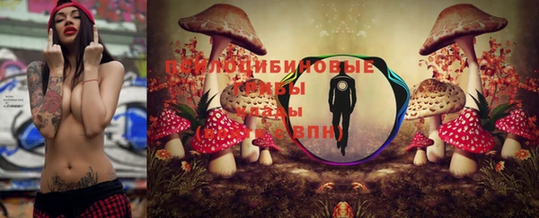 трава Бугульма
