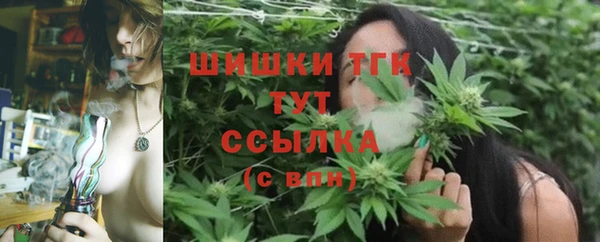 mdma Бородино