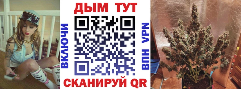 Шишки марихуана марихуана где можно купить Октябрьский